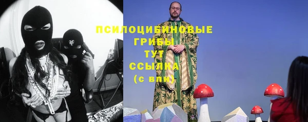 сатива Богородск