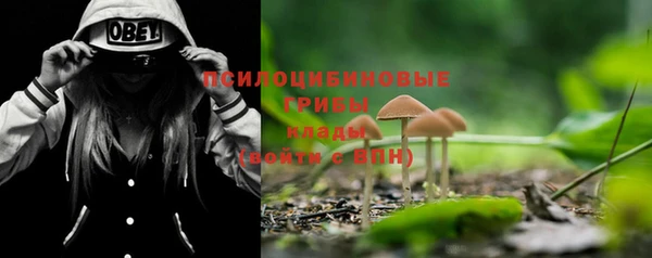 ешки Беломорск