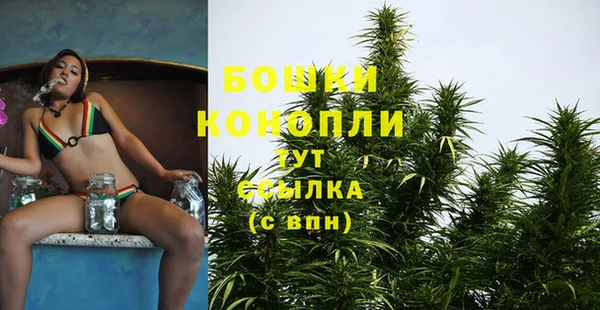 каннабис Богданович