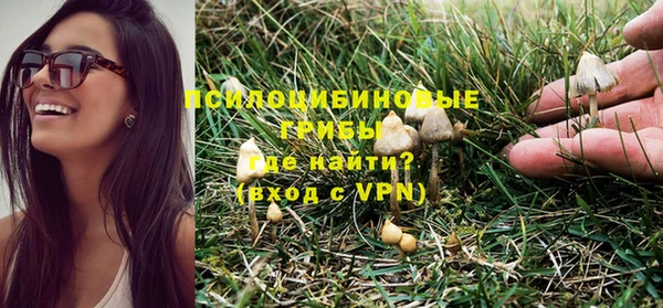 сатива Богородск